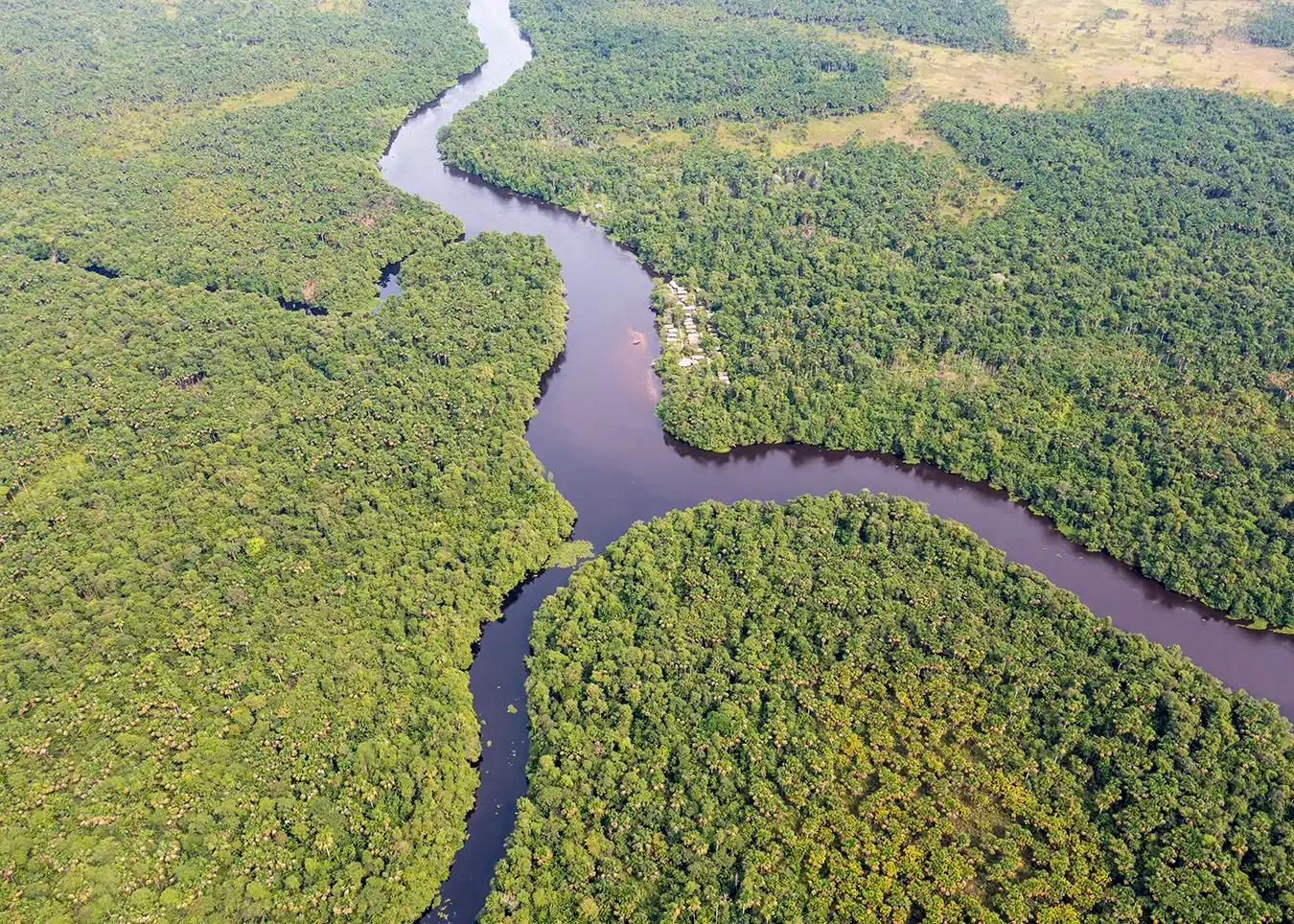 Vista aérea de un caño del Delta del Orinoco entre la selva